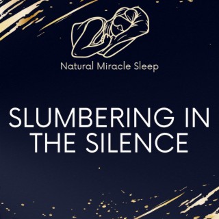Slumbering in the Silence: Reflecting on the Peaceful Effects of Sleep Music