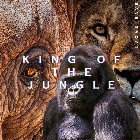King of the Jungle (Original mix) | Boomplay Music