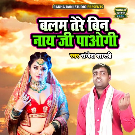 Balam Tere Bin Naye Ji Paogi | Boomplay Music