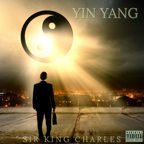 Mr Ying Yang