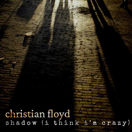 Shadow (I Think I'm Crazy) | Boomplay Music