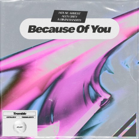 Because Of You ft. Alex Grey & Bikini Bandits | Boomplay Music