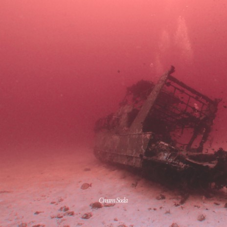 Shipwrecks ft. Hriday & Ayaz Hamid