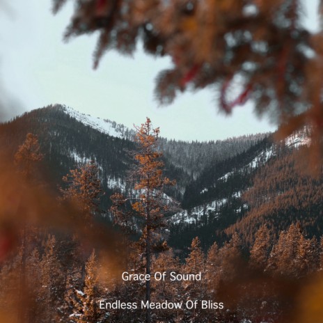 Endless Meadow of Bliss | Boomplay Music