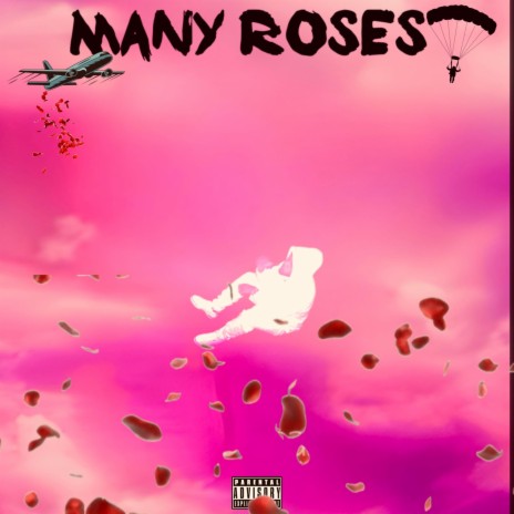 Many Roses | Boomplay Music