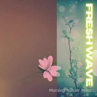 Morning Nature Music