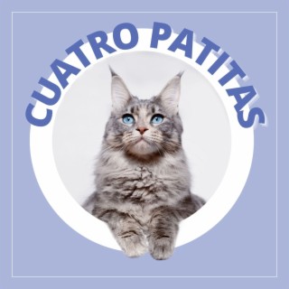 Cuatro Patitas: Música Anti Ansiedad para Calmar a Tu Animal de Compañia