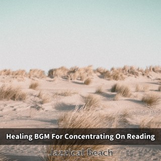 Healing BGM For Concentrating On Reading