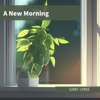 A New Morning