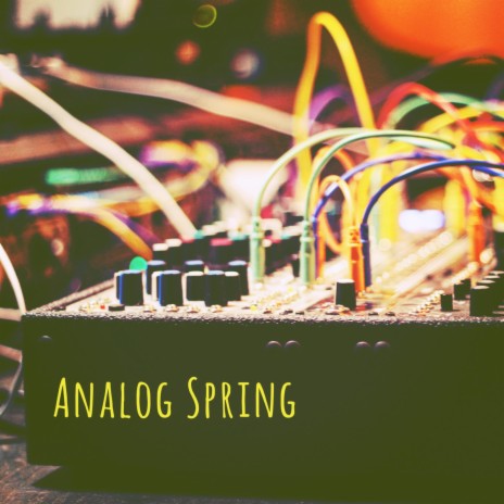 Analog Spring