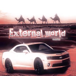 External World