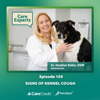 Signs of Kennel Cough - Dr. Heather Keller