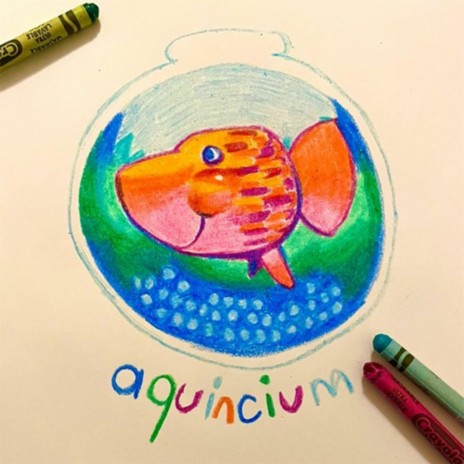 aquincium | Boomplay Music