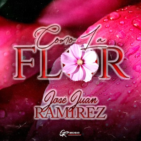 Como La Flor | Boomplay Music
