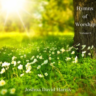 Hymns of Worship, Vol. 6