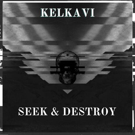 Seek & Destroy