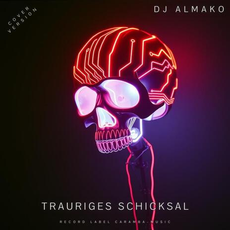 TRAURIGES SCHICKSAL (Cover Version)