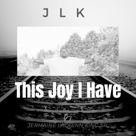 This Joy I Have | Boomplay Music