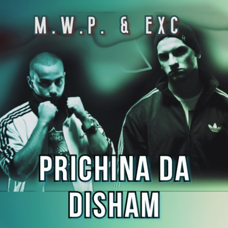 Prichina Da Disham | Boomplay Music