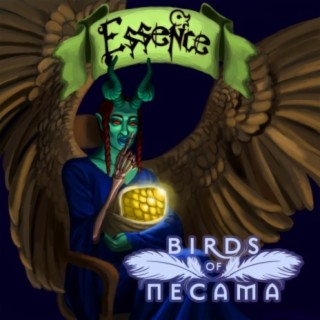 Birds of Necama