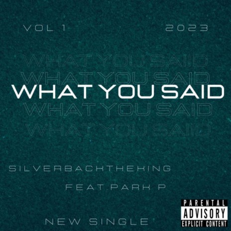 What You Said ft. Park P | Boomplay Music