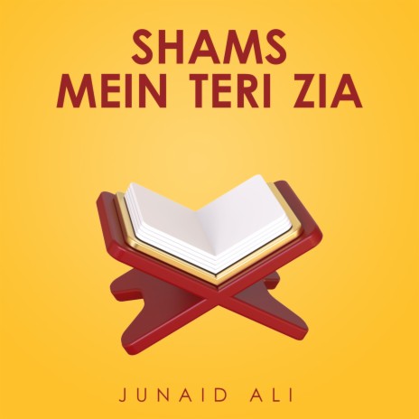 Shams Mein Teri Zia | Boomplay Music