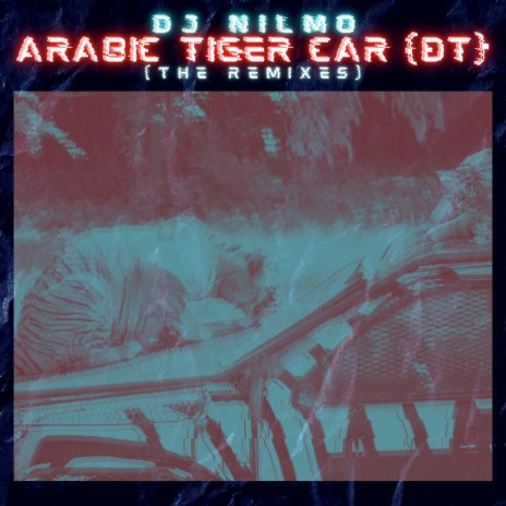 Arabic Tiger Car (D.T.) | Boomplay Music