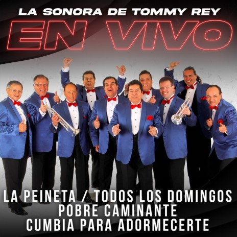 La Peineta / Todos Los Domingos / Pobre Caminante / Cumbia Para Adormecerte (En Vivo) | Boomplay Music