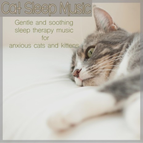 Sweet Relaxation ft. Kitten Music Therapy & RelaxMyCat | Boomplay Music