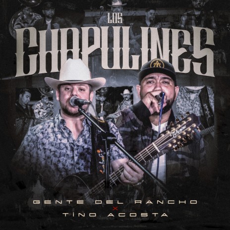 Los Chapulines (En Vivo) ft. Tino Acosta | Boomplay Music