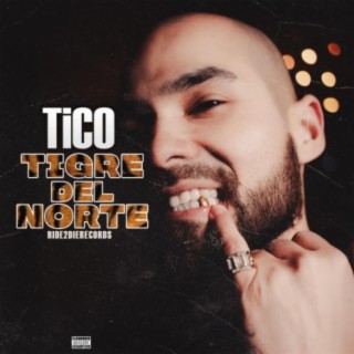 Tigre del Norte