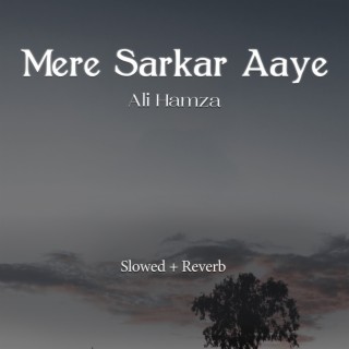 Mere Sarkar Aaye Lofi