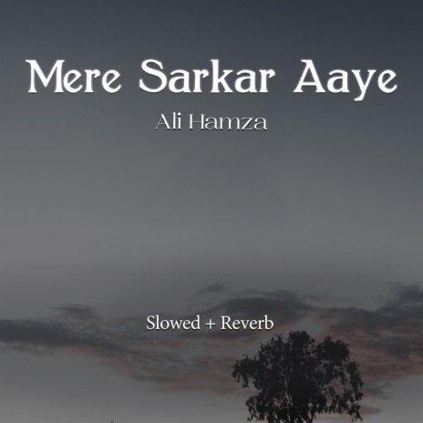 Mere Sarkar Aaye Lofi | Boomplay Music