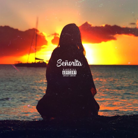 Señorita | Boomplay Music