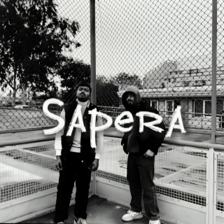 Sapera