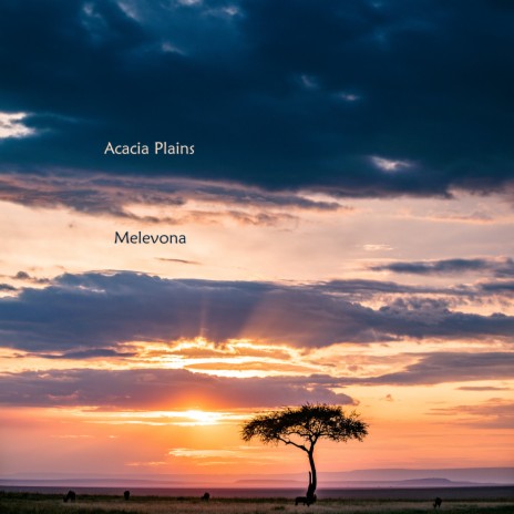 Acacia Plains | Boomplay Music