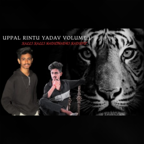 Uppal Rintu Yadav song | Boomplay Music