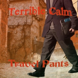 Travel Pants