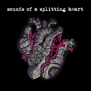 Sounds of a Splitting Heart