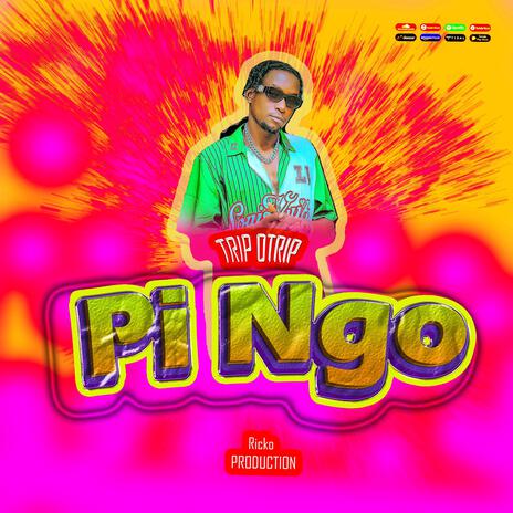 Pi Ngo | Boomplay Music