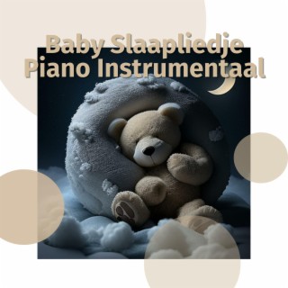 Baby Slaapliedje Piano Instrumentaal
