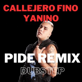 PIDE REMIX DUBSTEP