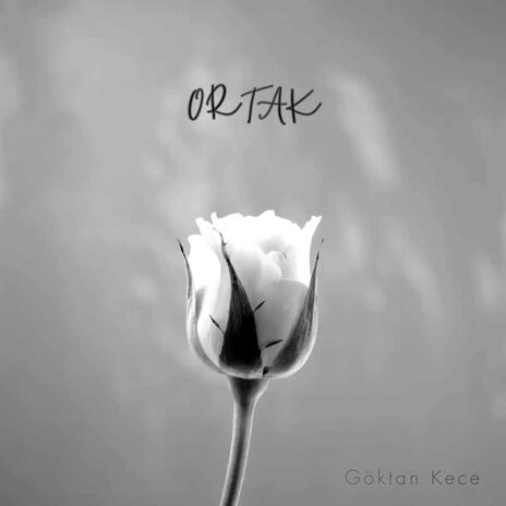 ORTAK | Boomplay Music