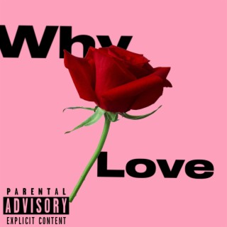 Why you love