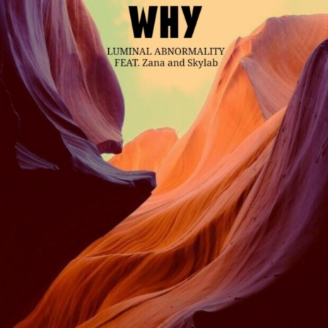 WHY ft. Zana & Skylab | Boomplay Music