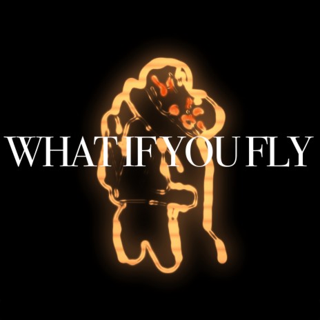 What If You Fly | Boomplay Music