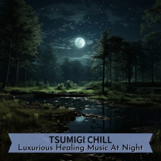 Luxurious Healing Music At Night