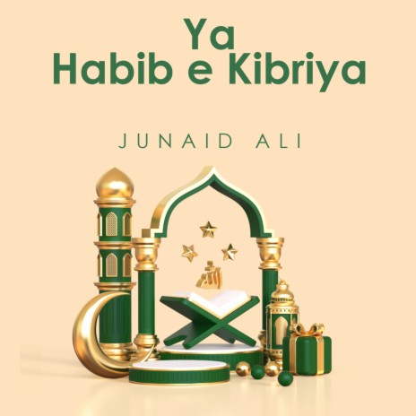 Ya Habib e Kibriya | Boomplay Music
