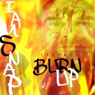 Burn up