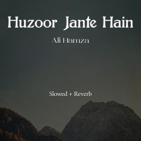 Huzoor Jante Hain Lofi | Boomplay Music